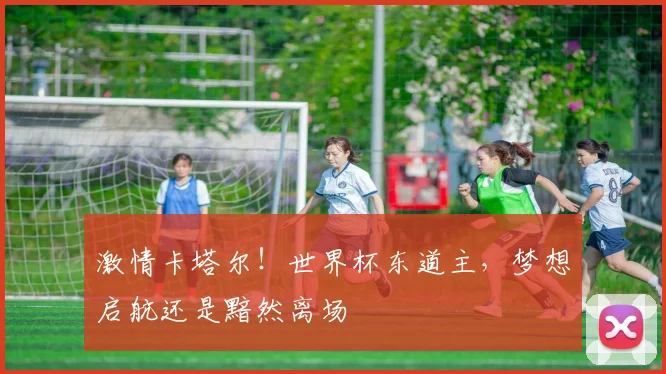 激情卡塔尔！世界杯东道主，梦想启航还是黯然离场