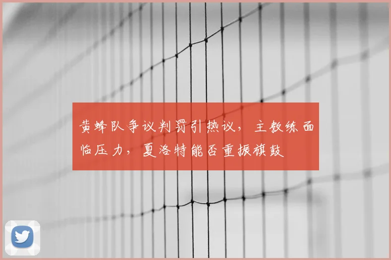 黄蜂队争议判罚引热议，主教练面临压力，夏洛特能否重振旗鼓